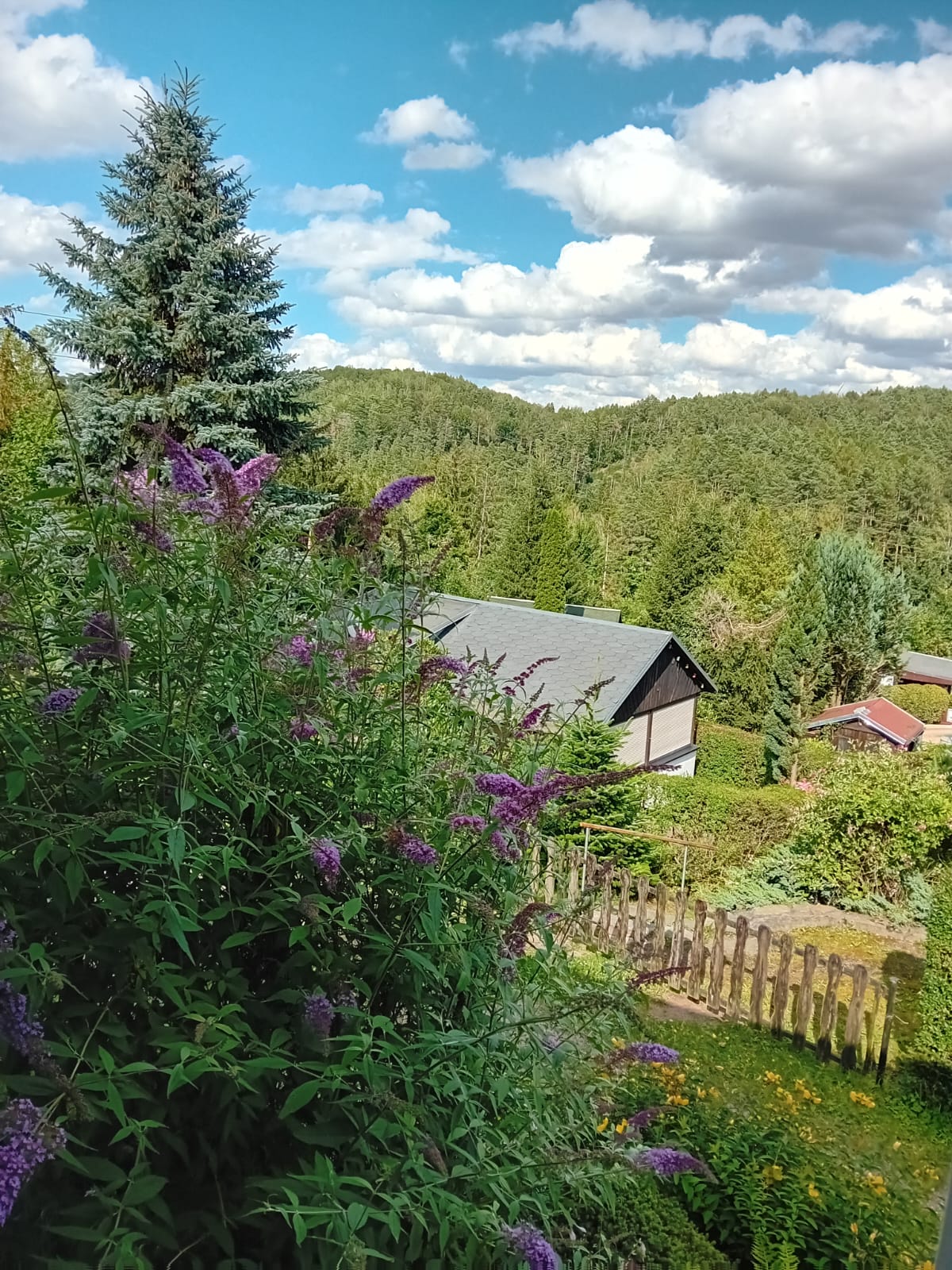 Terrasse mit Blick ins Grüne